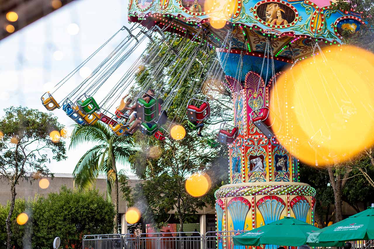 Parque de Diversões Natal de Holambra by Expoflora Garanta seus